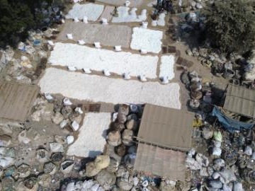 People's Daily English language App