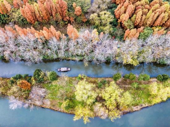 China's wetland area ranks first in Asia, 4th globally