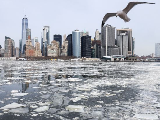New York records 13 cold-related deaths since late January