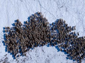 People's Daily English language App