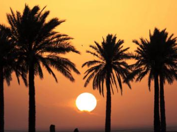 People's Daily English language App