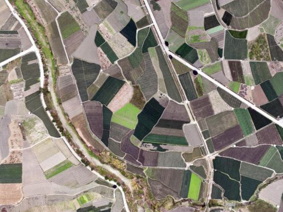 China outlines plans for agricultural modernization, rural revitalization