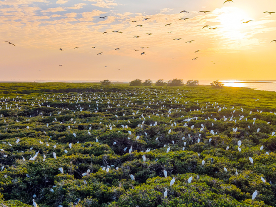 People's Daily English language App