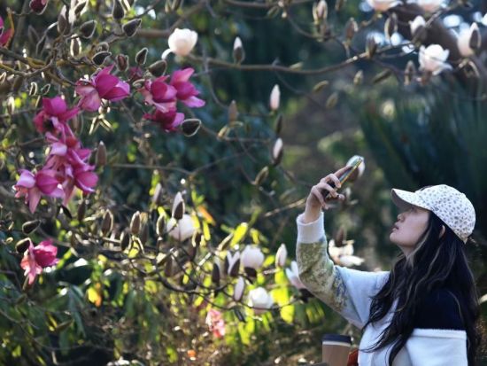 People's Daily English language App