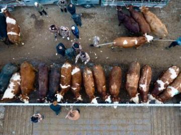 People's Daily English language App