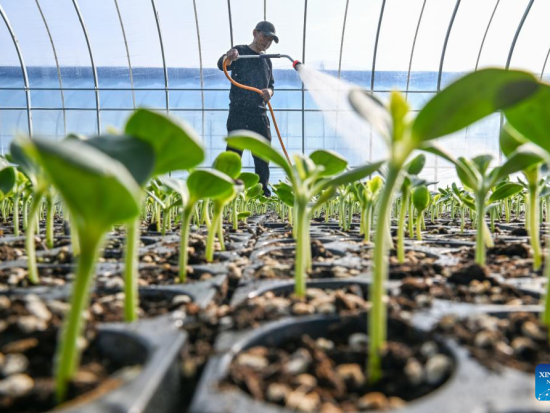 People's Daily English language App