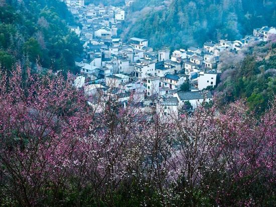 People's Daily English language App