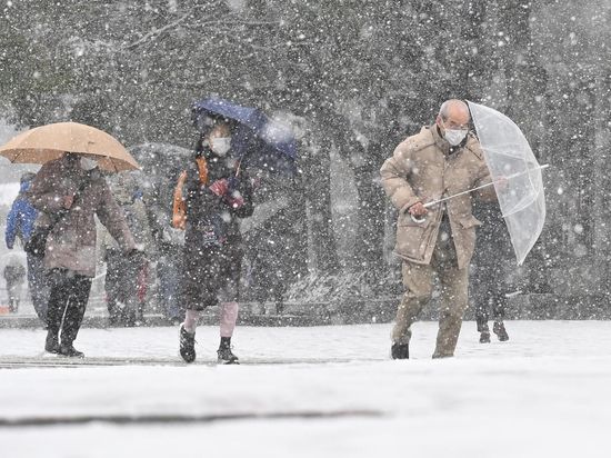 Heavy snowfall in Japan causes 46 deaths and over 500 injuries