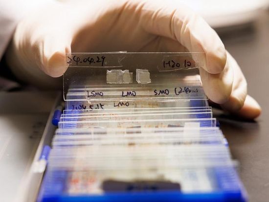 Global impact of Chinese scientific journals is on the rise: report