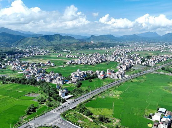 China to establish regular financial support mechanism for rural revitalization