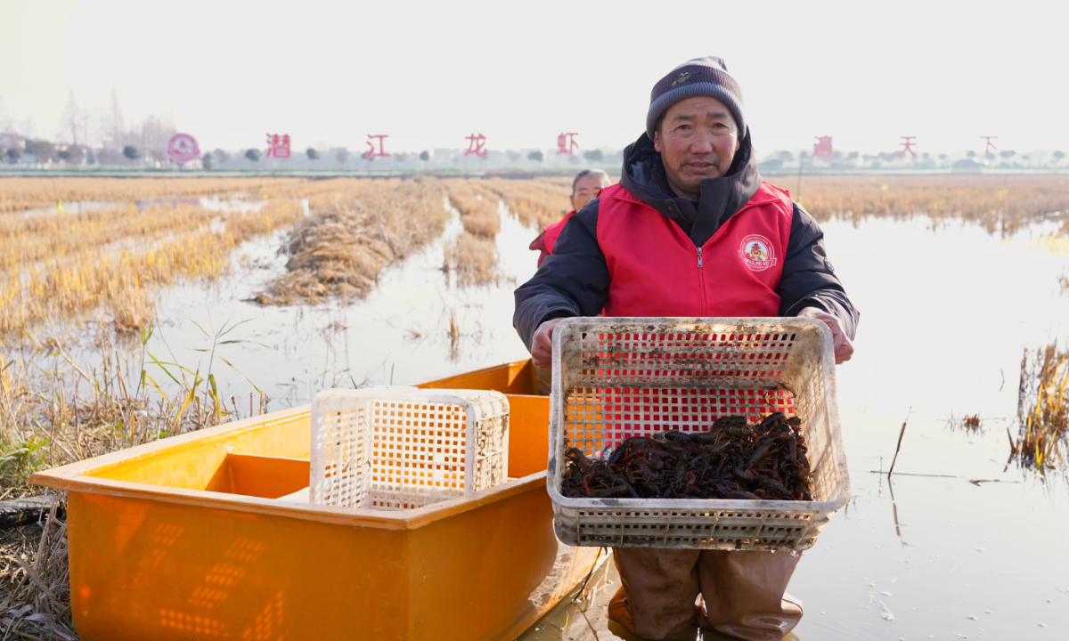 A farmer holds a basket of crayfish in Qianjiang, Central China's Hubei Province on December 26, 2025. Photo: Ai Shuai