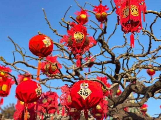 Xi sends Chinese New Year card in return to friends in US state of Iowa