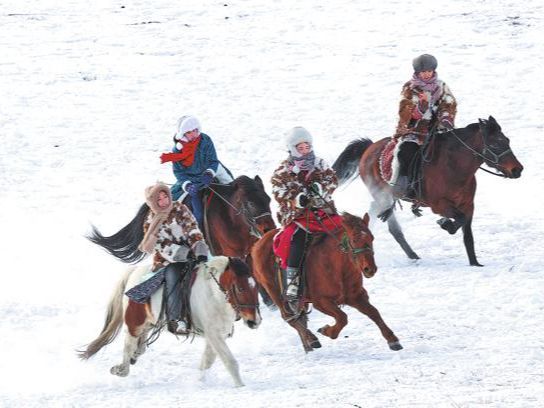 Inner Mongolia showcases horse culture at winter photography festival
