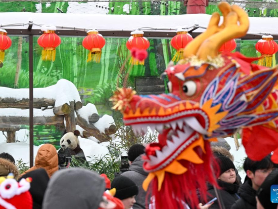 People's Daily English language App