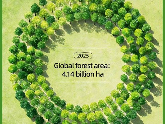 China takes lead in global reforestation efforts