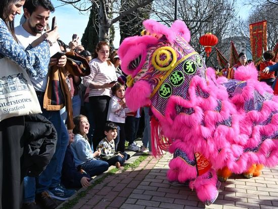 Chinese New Year celebrated in Madrid, Spain