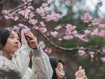 People's Daily English language App