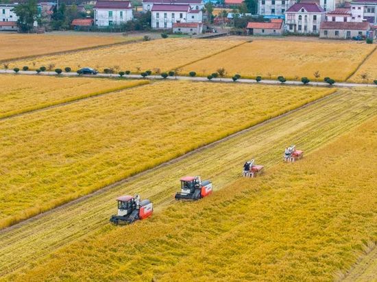 Xi Story: Blazing a high-quality development path suited to local conditions