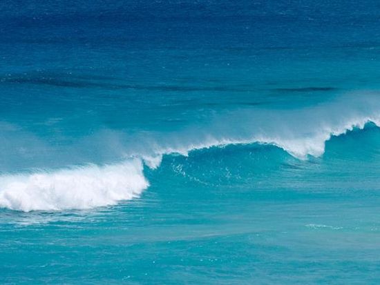 UNESCO warns gaps in ocean carbon science could skew climate forecasts