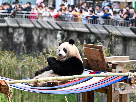 People's Daily English language App