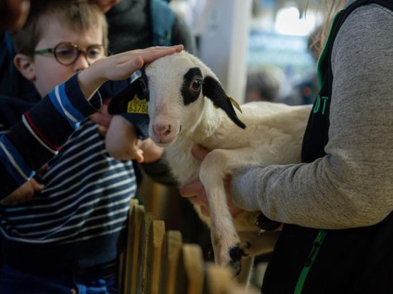 People's Daily English language App