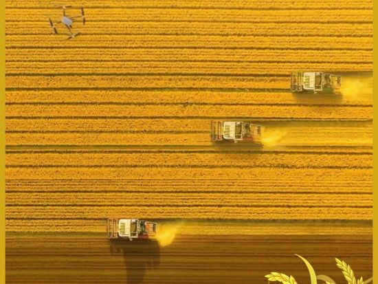 China's grain boom