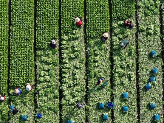 People's Daily English language App