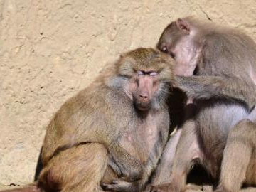 A glimpse of Warsaw Zoo in Poland
