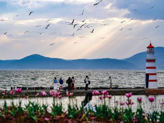 People's Daily English language App