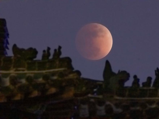 People's Daily English language App