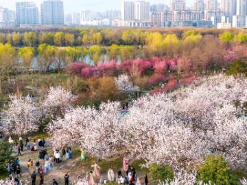 Flowers bloom as temperature rises in China