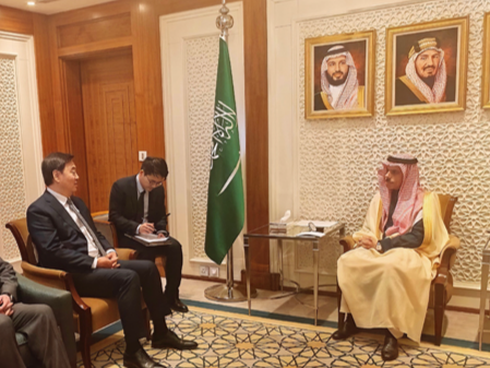 China's Middle East envoy calls for ceasefire as fundamental way out of current predicament