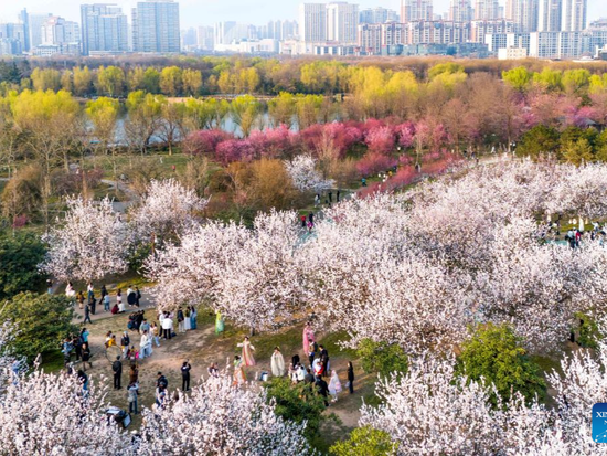 People's Daily English language App