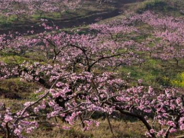 People's Daily English language App