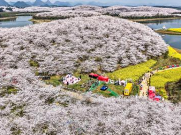 People's Daily English language App