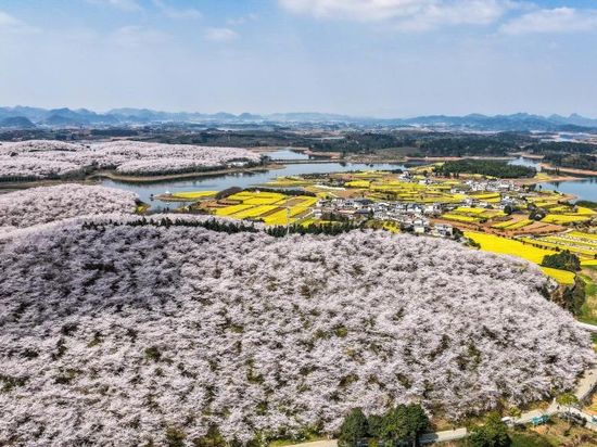 People's Daily English language App