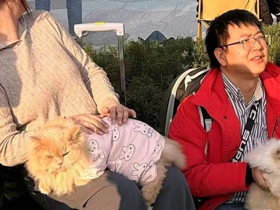 New online show in Chengdu taps into booming pet economy