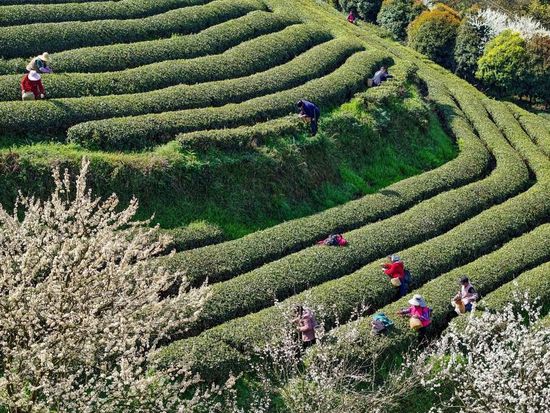 People's Daily English language App