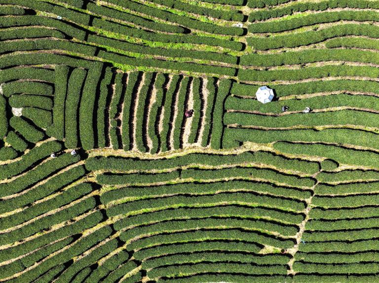 People's Daily English language App