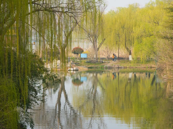 People's Daily English language App