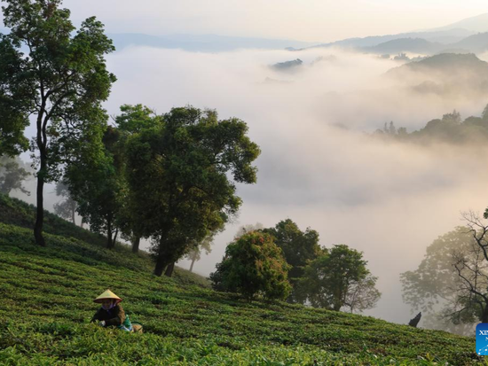 People's Daily English language App