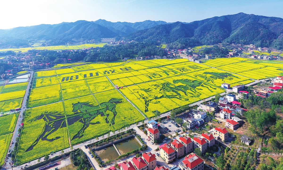 An aerial view of a rapeseed flower fields in Hengyang, Southwest China's Hunan Province on March 13, 2026 Photo: VCG