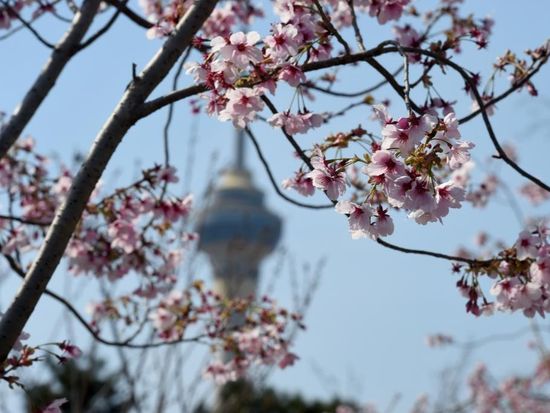 People's Daily English language App