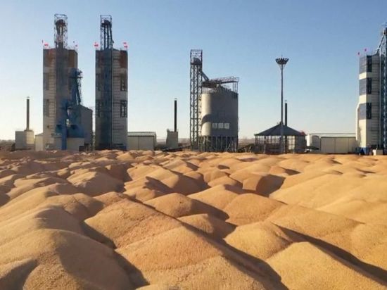 Chinese premier stresses stable, safe grain supply