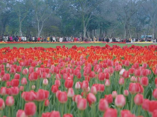 Live: Nature awakens | Spring Equinox and Longtaitou Day together