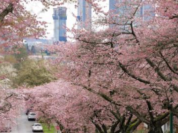 People's Daily English language App