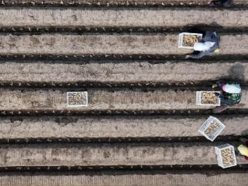 People's Daily English language App