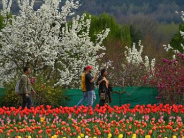 People's Daily English language App