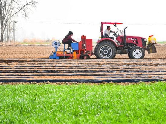 China revises regulation on national agricultural census