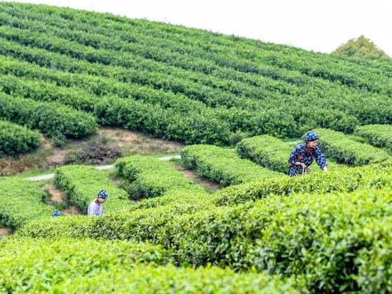 People's Daily English language App